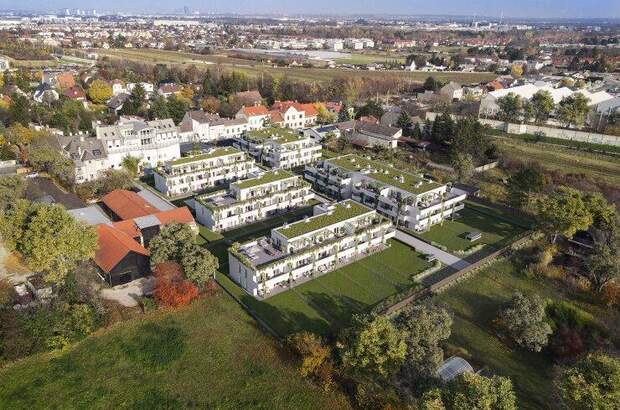 Terrassenwohnung kaufen in 2344 Maria Enzersdorf (Bild 1)