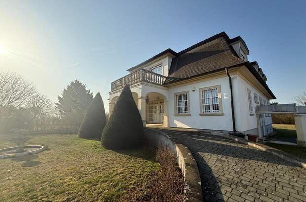 Haus mit Garten kaufen in 2423 Deutsch Jahrndorf (Bild 3)