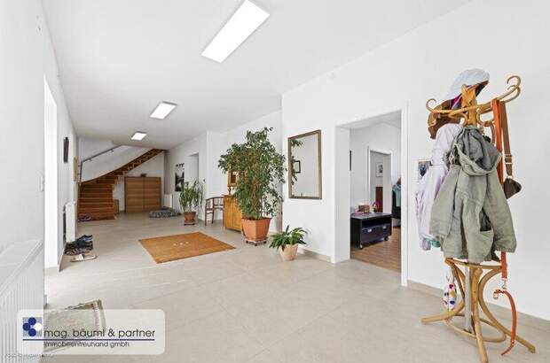 Haus kaufen in 2410 Hainburg (Bild 4)