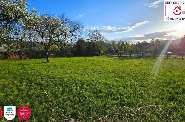 Grundstück kaufen in 2620 Neunkirchen (Bild 3)