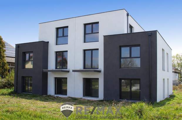 Reihenhaus kaufen in 2333 Leopoldsdorf (Bild 1)