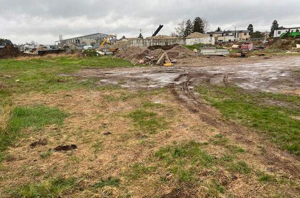 Grundstück kaufen in 2231 Strasshof (Bild 1)