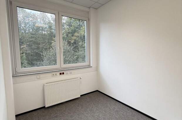 Gewerbeobjekt mieten in 8200 Gleisdorf (Bild 3)
