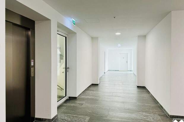 Anlageobjekt kaufen in 2700 Wiener Neustadt (Bild 5)