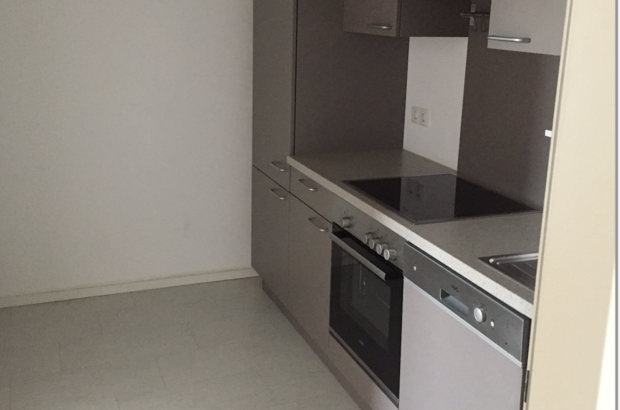 Altbauwohnung mieten in 2700 Wiener Neustadt (Bild 3)