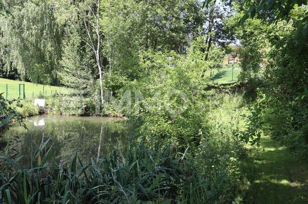 Einfamilienhaus kaufen in 5162 Obertrum (Bild 5)