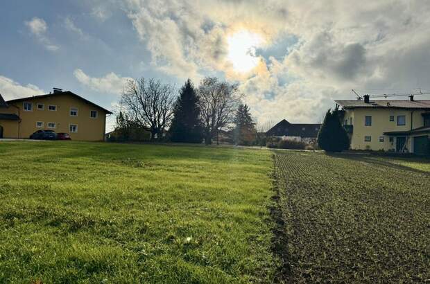 Grundstück kaufen in 4694 Ohlsdorf (Bild 5)