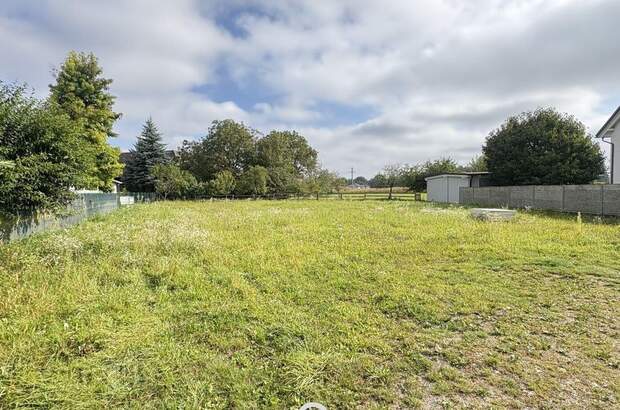 Haus mit Garten kaufen in 4614 Marchtrenk (Bild 3)