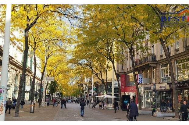 Einzelhandel mieten in 1060 Wien (Bild 1)