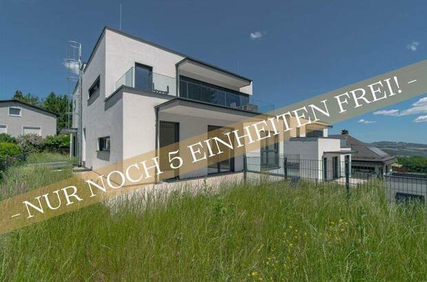 Terrassenwohnung kaufen in 4020 Linz (Bild 1)