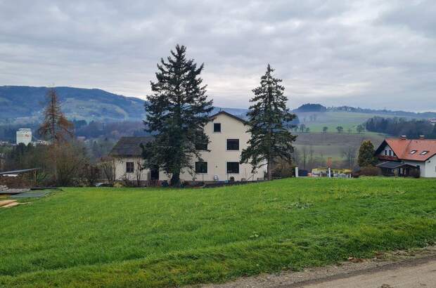 Grundstück kaufen in 4441 Behamberg (Bild 4)