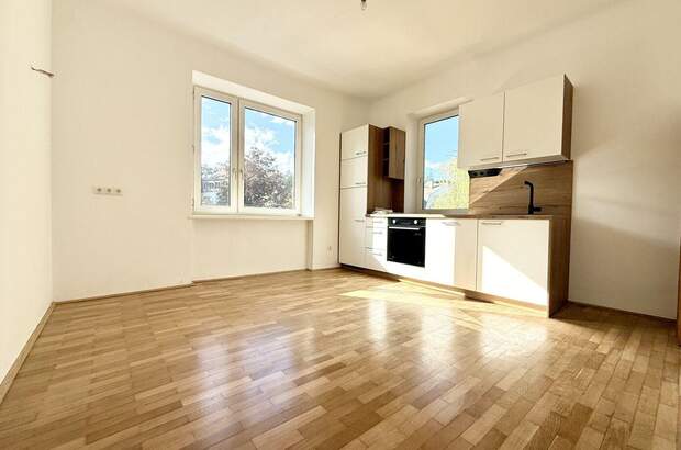 Altbauwohnung mit Balkon mieten in 1130 Wien (Bild 1)