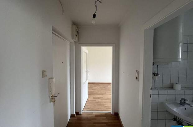 Altbauwohnung kaufen in 3133 Traismauer (Bild 3)