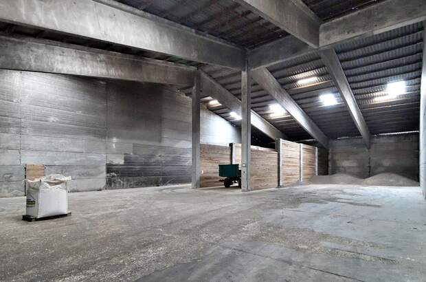 Gewerbeobjekt kaufen in 4063 Hörsching (Bild 2)