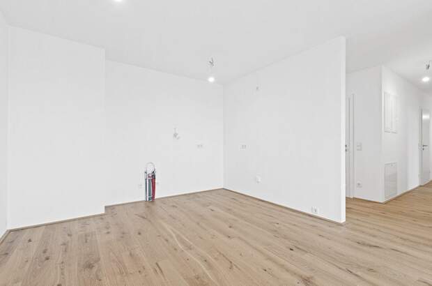 Anlageobjekt kaufen in 2540 Bad Vöslau (Bild 5)