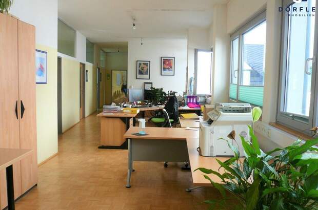 Gewerbeobjekt mieten in 9560 Feldkirchen (Bild 4)