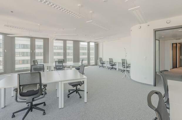 Gewerbeobjekt mieten in 1100 Wien (Bild 3)