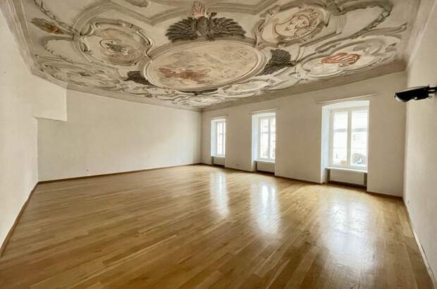 Gewerbeobjekt mieten in 2380 Perchtoldsdorf (Bild 2)