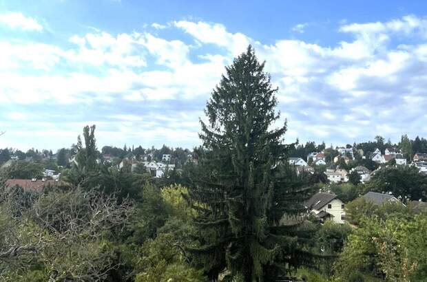 Grundstück kaufen in 1130 Wien (Bild 3)