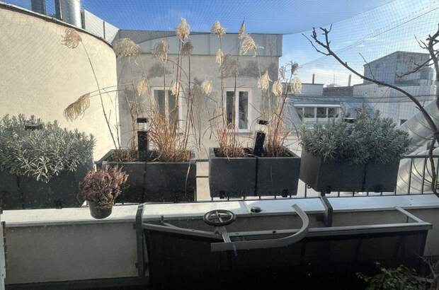 Gewerbeobjekt mieten in 1090 Wien (Bild 4)