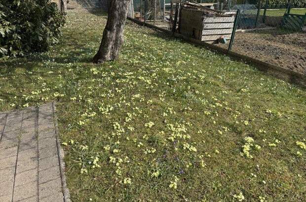 Haus kaufen in 8580 Köflach (Bild 2)