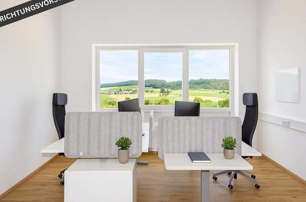 Gewerbeobjekt mieten in 4213 Unterweitersdorf (Bild 4)