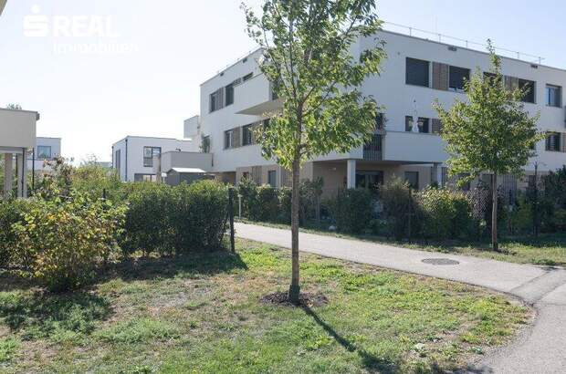 Terrassenwohnung kaufen in 2522 Oberwaltersdorf (Bild 5)