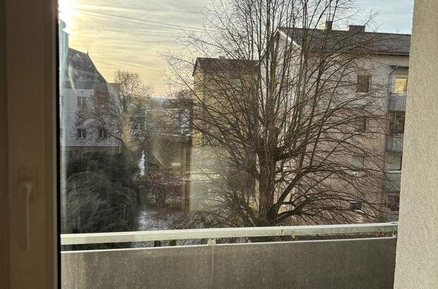 Terrassenwohnung mieten in 4470 Enns (Bild 1)