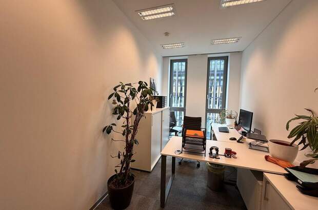 Gewerbeobjekt mieten in 1010 Wien (Bild 4)