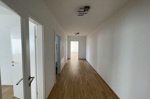 Terrassenwohnung kaufen in 9582 Latschach (Bild 4)