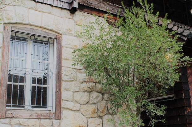 Haus mit Garten kaufen in 5310 St. Lorenz (Bild 5)