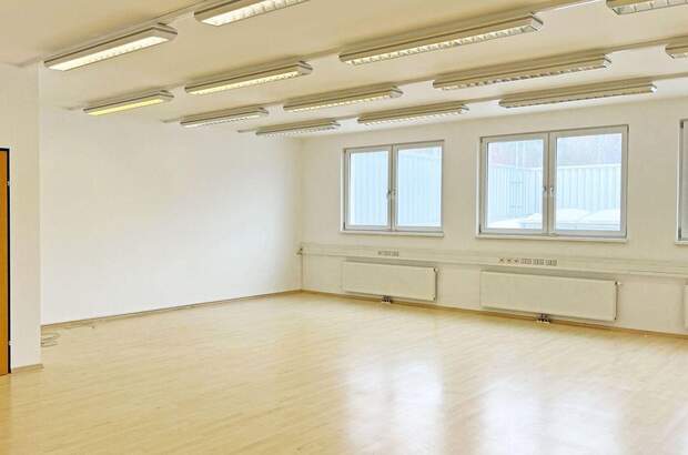 Gewerbeobjekt mieten in 3021 Pressbaum (Bild 1)