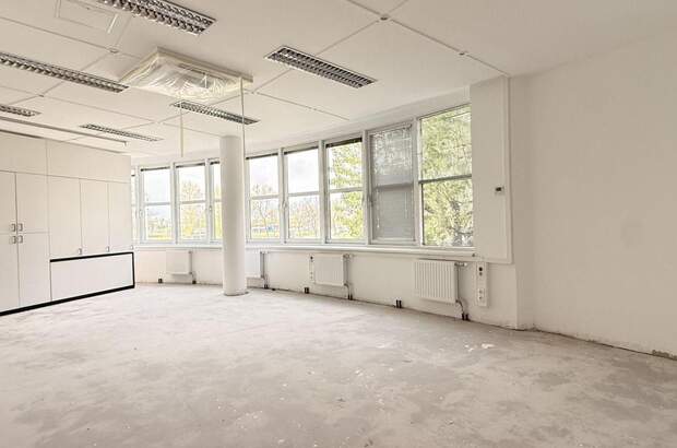 Gewerbeobjekt mieten in 2320 Schwechat (Bild 3)