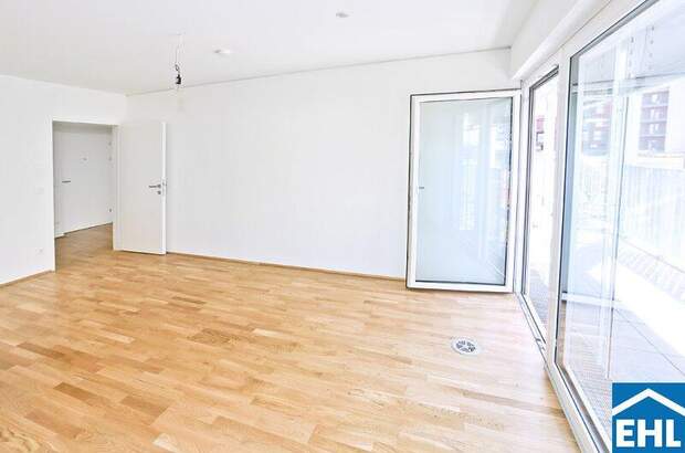 Terrassenwohnung mieten in 1030 Wien (Bild 3)