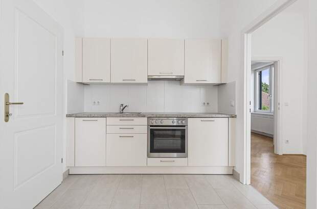 Altbauwohnung kaufen in 1130 Wien (Bild 1)