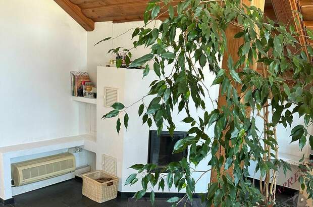 Wohnung mit Balkon kaufen in 5026 Salzburg (Bild 3)