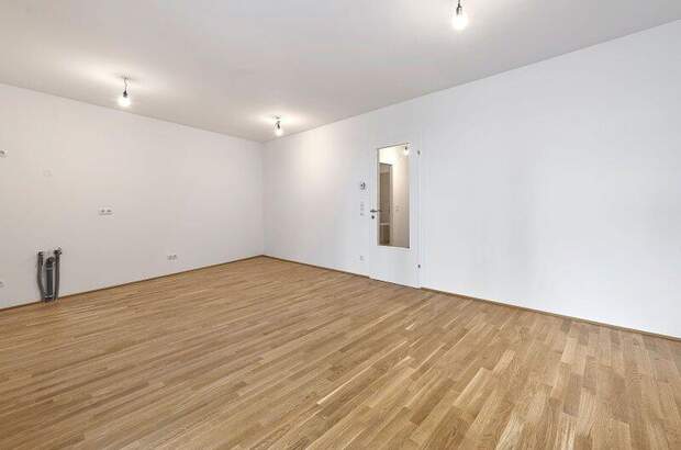 Terrassenwohnung kaufen in 1210 Wien (Bild 5)