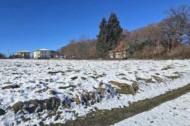 Grundstück kaufen in 9184 St. Jakob (Bild 1)