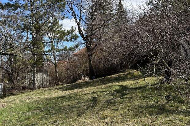 Grundstück kaufen in 2345 Brunn (Bild 2)