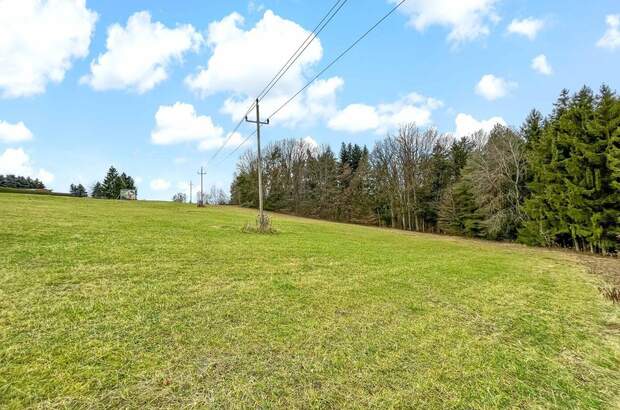 Grundstück kaufen in 7572 Deutsch Kaltenbrunn (Bild 3)