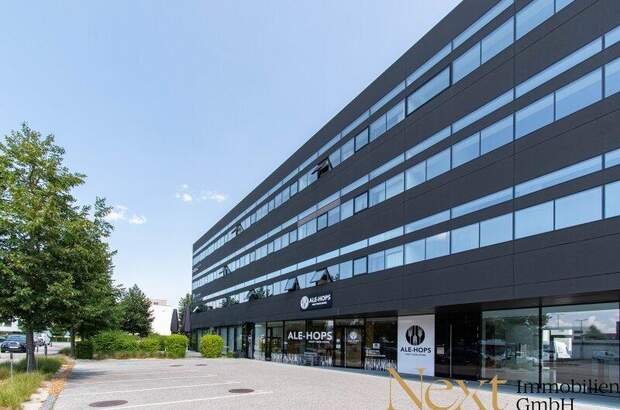 Büro / Praxis mieten in 4600 Wels (Bild 5)