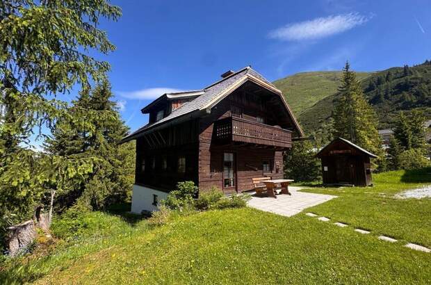 Anlageobjekt kaufen in 8953 Planneralm (Bild 3)