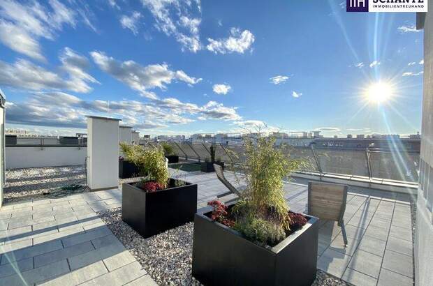 Terrassenwohnung mieten in 2320 Schwechat (Bild 4)