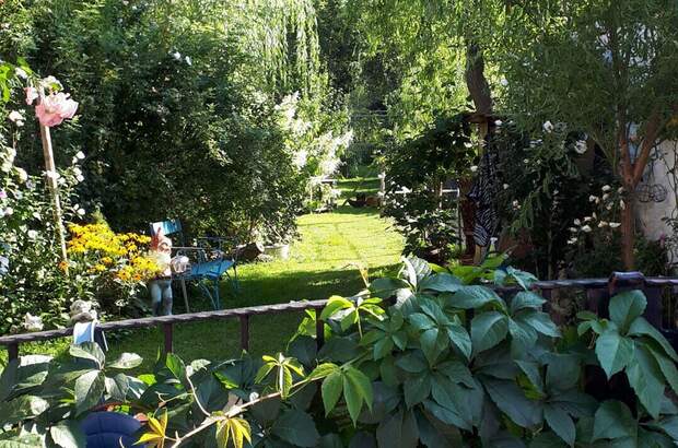 Haus kaufen in 2620 Oberdanegg (Bild 2)