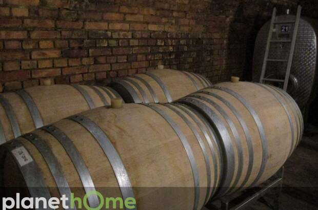 Gewerbeobjekt kaufen in 3550 Langenlois (Bild 1)