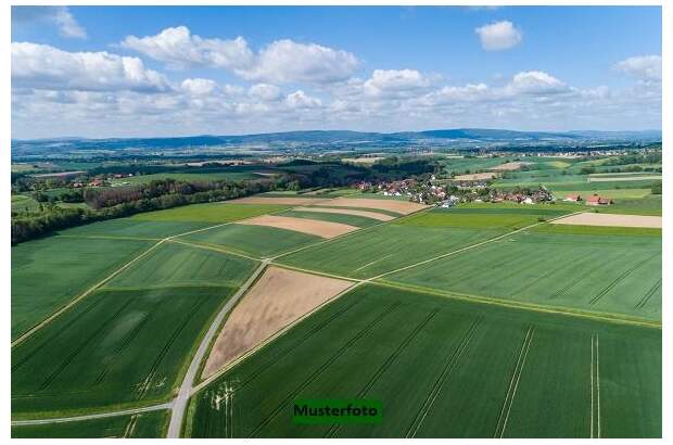 Grundstück kaufen in 2620 Wartmannstetten (Bild 1)