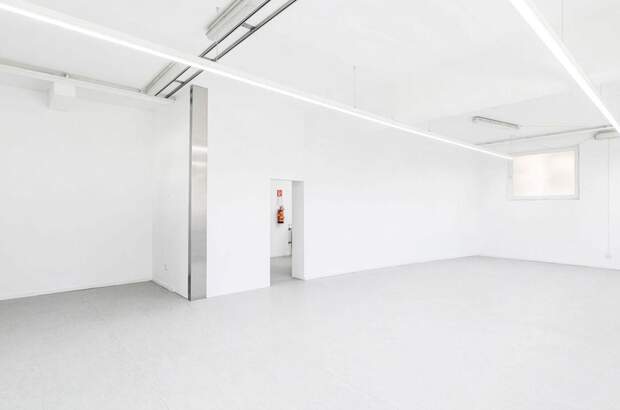 Anlageobjekt kaufen in 6890 Lustenau (Bild 4)