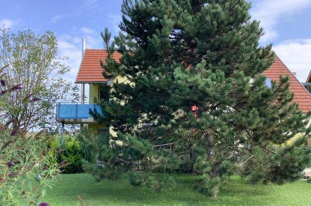 Terrassenwohnung mieten in 8451 Heimschuh (Bild 5)