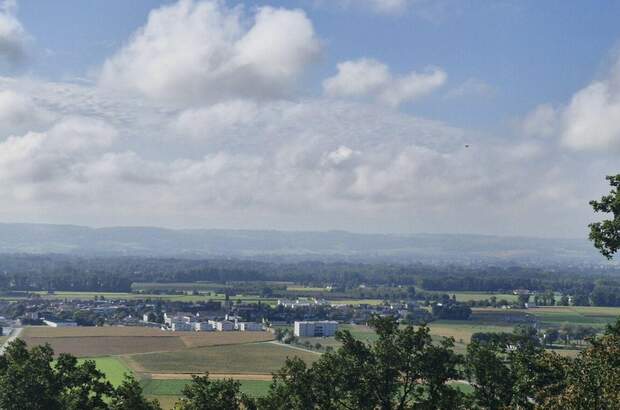 Grundstück kaufen in 4101 Feldkirchen (Bild 2)