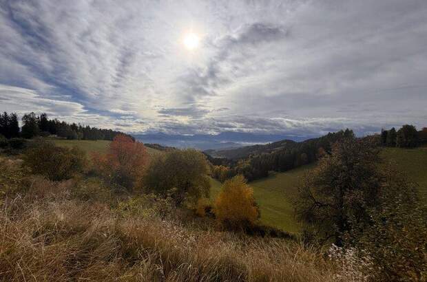 Beherbergungsbetrieb kaufen in 9112 Griffen (Bild 5)